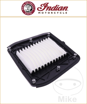 Indian OE Air Filter