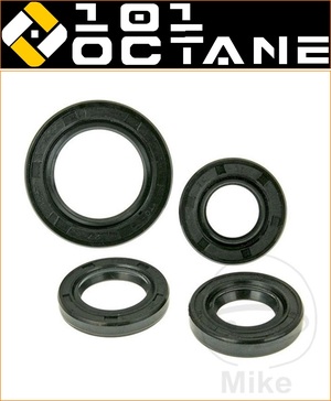 101 Octane Engine Oil Seal Kit