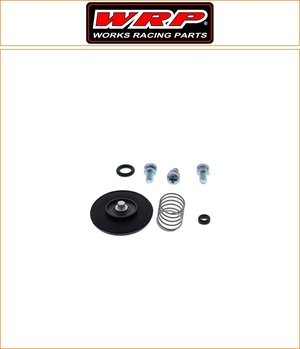 WRP Accelerator Pump Repair Kit [WY-46-3003]